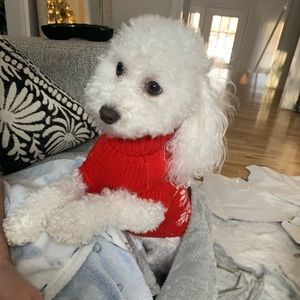 Meet your Posher, Mayra